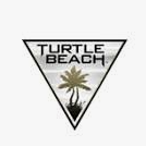 Turtle Beach